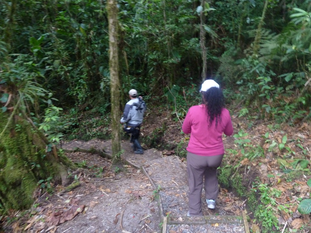 Hiking in the Santa Elena cloud forest (Costa Rica)