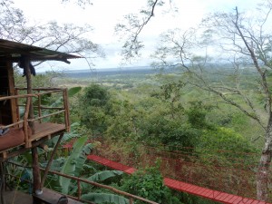 view from treehouse
