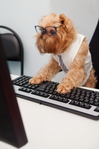 Image: Dog on computer