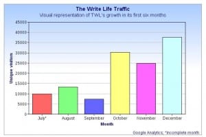 Image: The Write Life traffic, unique visitors