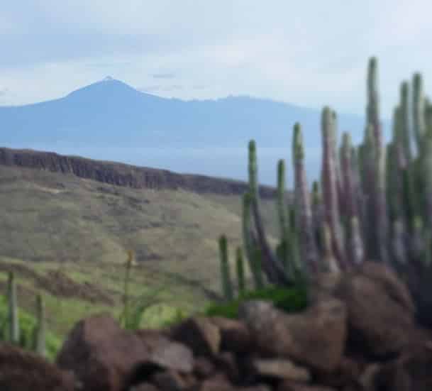 View of Mt. Teide from La Gomera
